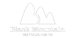 CLIENT: BLACK MOUNTAIN